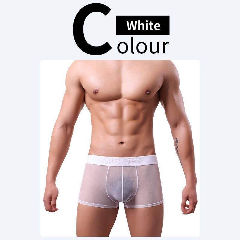 QS Sheer Ice Silk Sexy Boxer Briefs