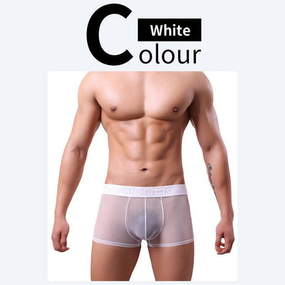 QS Sheer Ice Silk Sexy Boxer Briefs