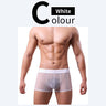 QS Sheer Ice Silk Sexy Boxer Briefs