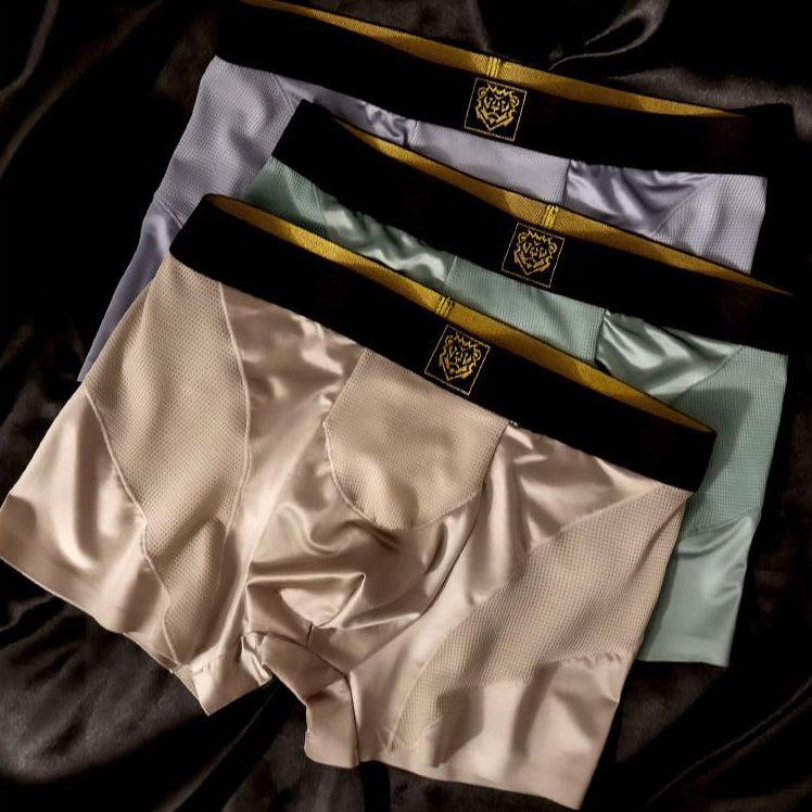 Satin & Mesh Panel Luxury Boxer Briefs