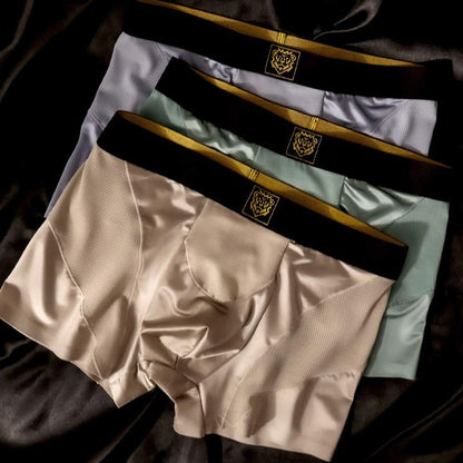 Satin & Mesh Panel Luxury Boxer Briefs
