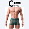 QS Sheer Ice Silk Sexy Boxer Briefs