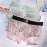 Sheer Ice-Silk Mesh Boxer Briefs