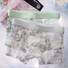 Sheer Ice-Silk Mesh Boxer Briefs