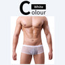 QS Sheer Ice Silk Sexy Boxer Briefs