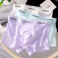 Semi-transparent everyday boxer briefs