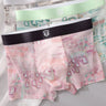 Sheer Ice-Silk Mesh Boxer Briefs