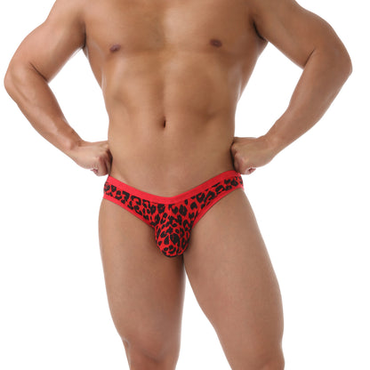 Lace leopard print briefs