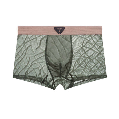 QS Mesh Breathable Sexy Boxer Briefs