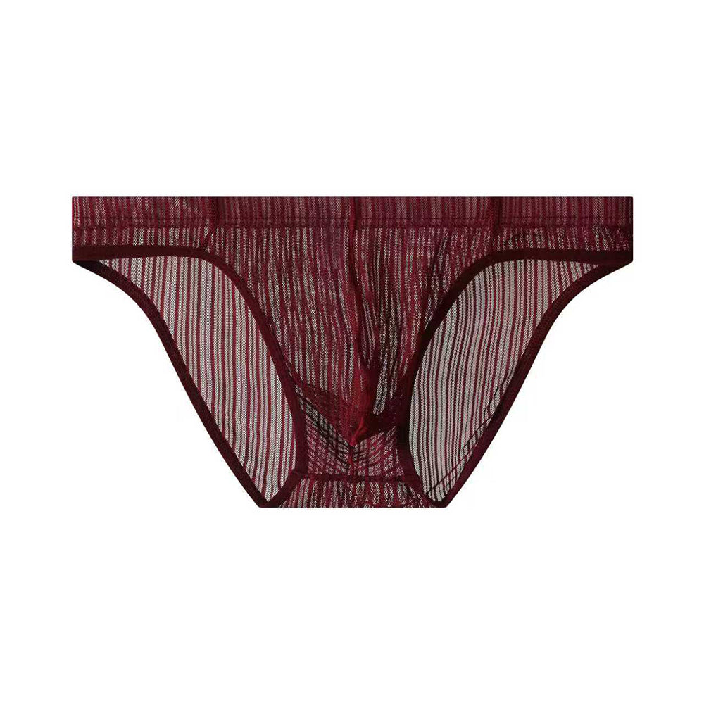 Transparent vertical striped briefs