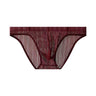 Transparent vertical striped briefs