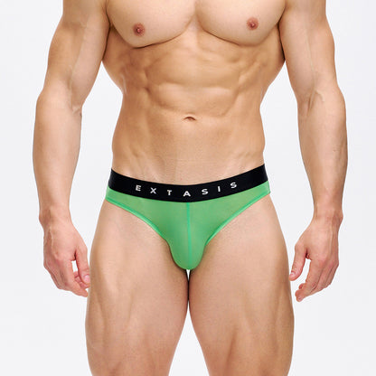 Simple multi-color semi-transparent stretch underwear