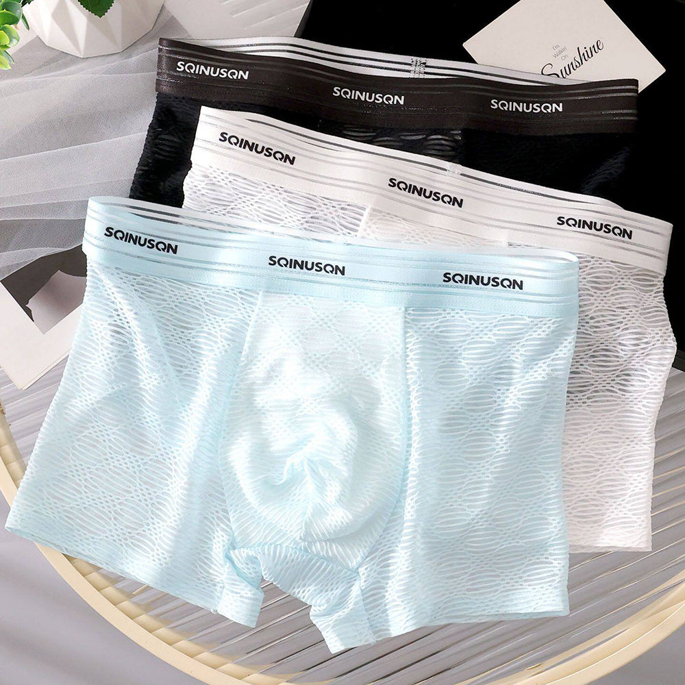 Semi-transparent everyday boxer briefs
