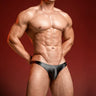 QS Silky Sexy Briefs