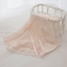 QS Semi-transparent Lace Trim Panties