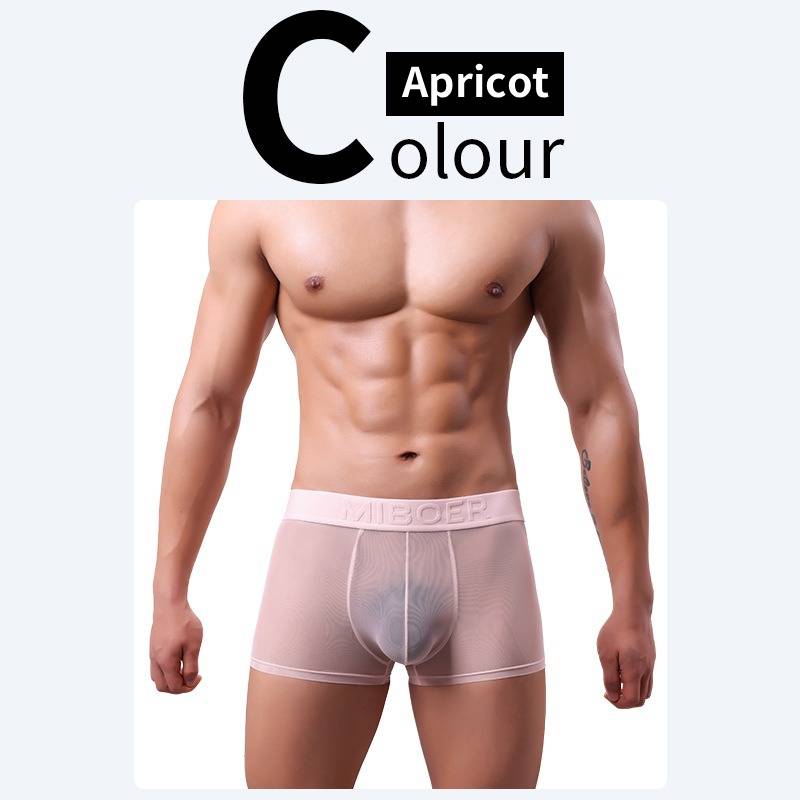 QS Sheer Ice Silk Sexy Boxer Briefs
