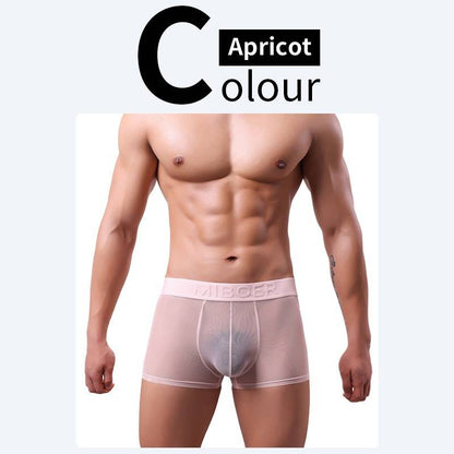 QS Sheer Ice Silk Sexy Boxer Briefs