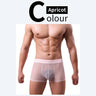 QS Sheer Ice Silk Sexy Boxer Briefs
