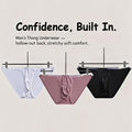 ZD Sheer Waistband Sexy Briefs