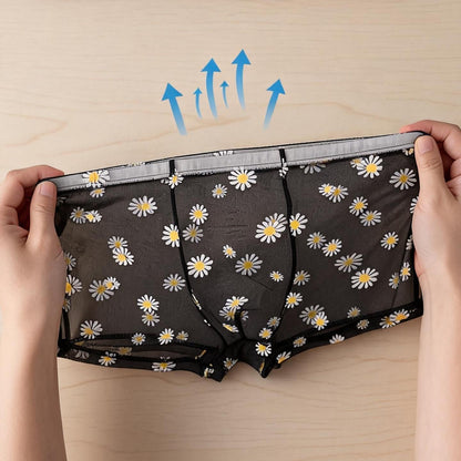 ZD Sheer Daisy Boxer Briefs
