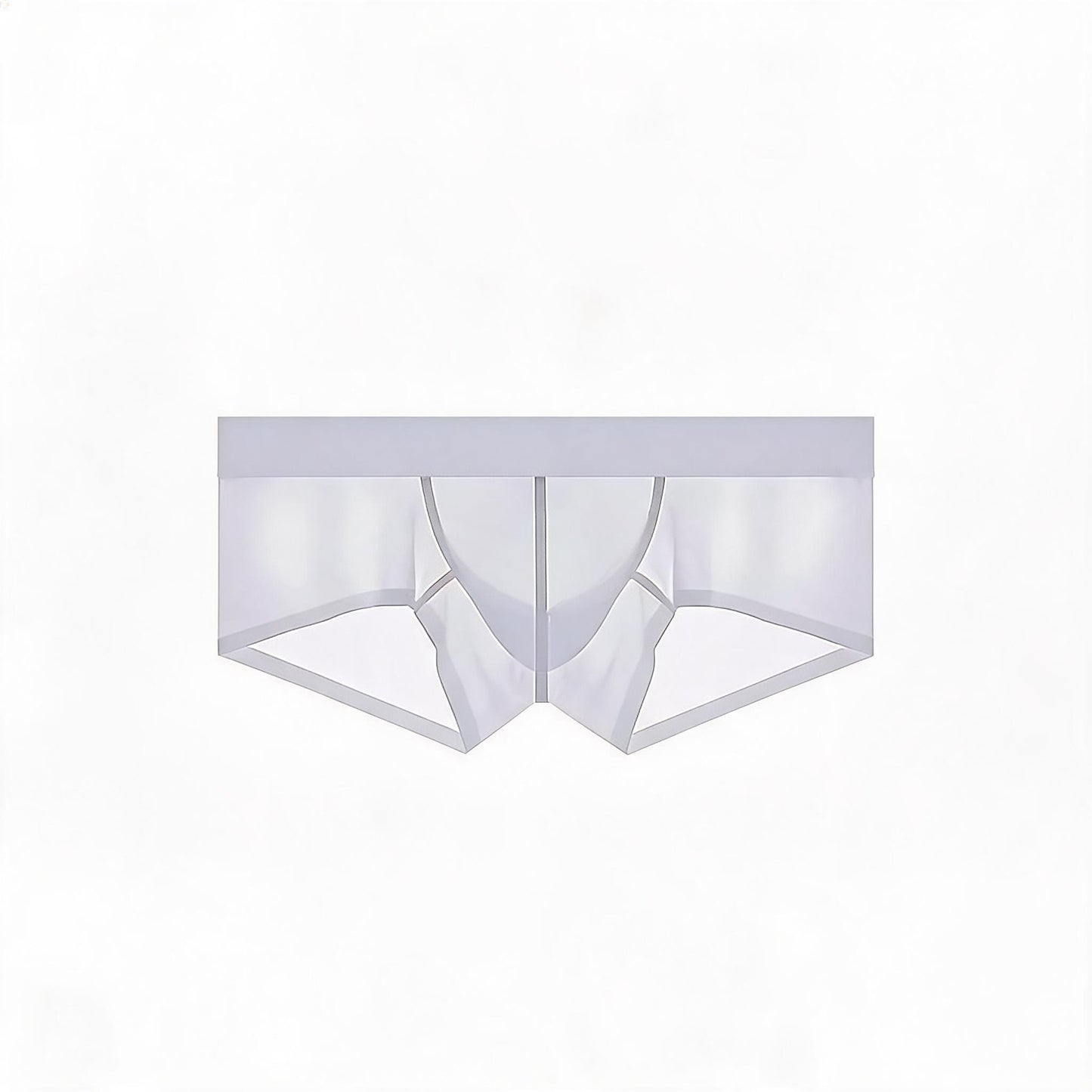 ZDSheer Ice Silk Briefs