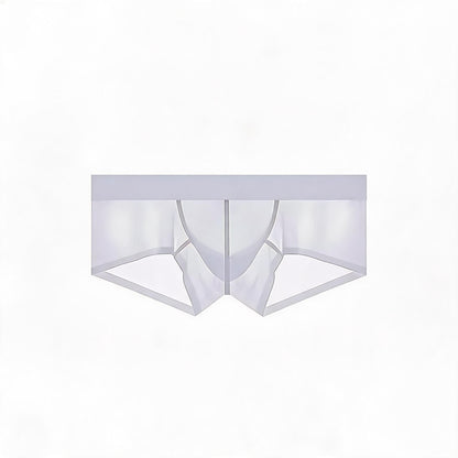 ZDSheer Ice Silk Briefs