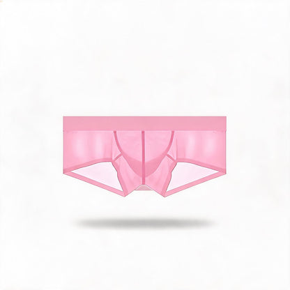 ZDSheer Ice Silk Briefs