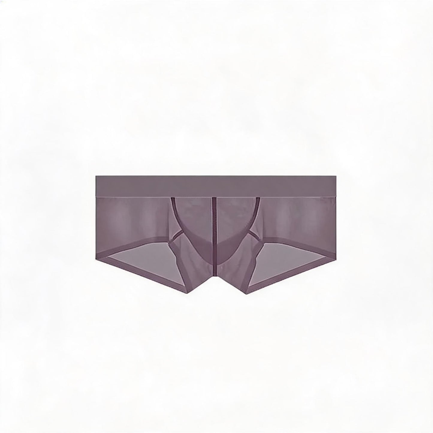ZDSheer Ice Silk Briefs