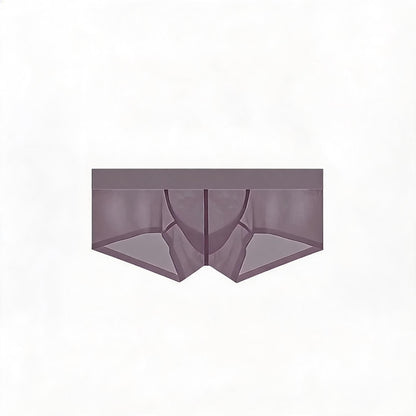 ZDSheer Ice Silk Briefs