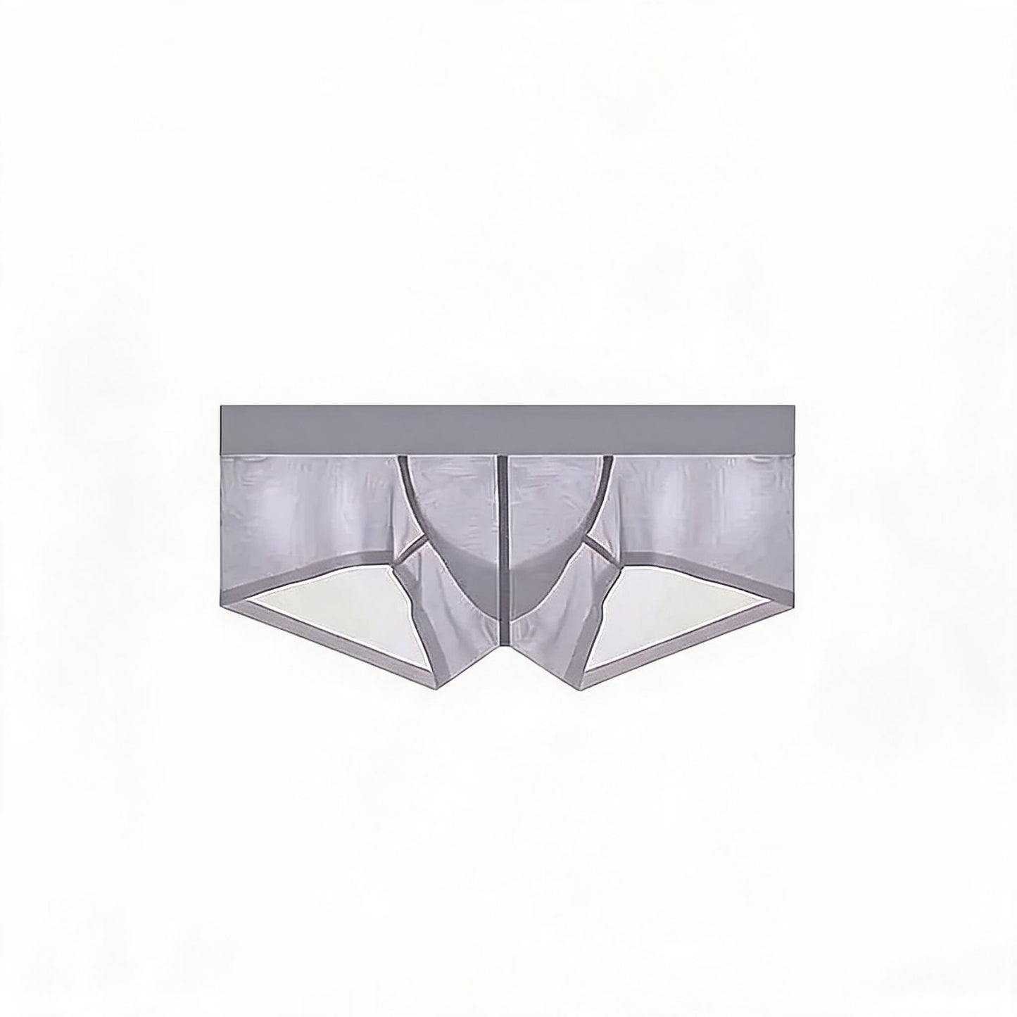 ZDSheer Ice Silk Briefs
