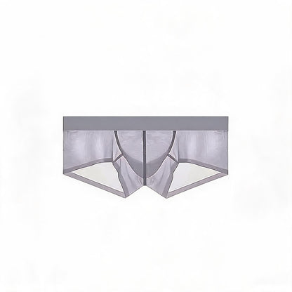ZDSheer Ice Silk Briefs