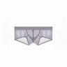 ZDSheer Ice Silk Briefs