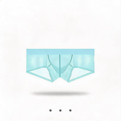 ZDSheer Ice Silk Briefs