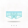 ZDSheer Ice Silk Briefs