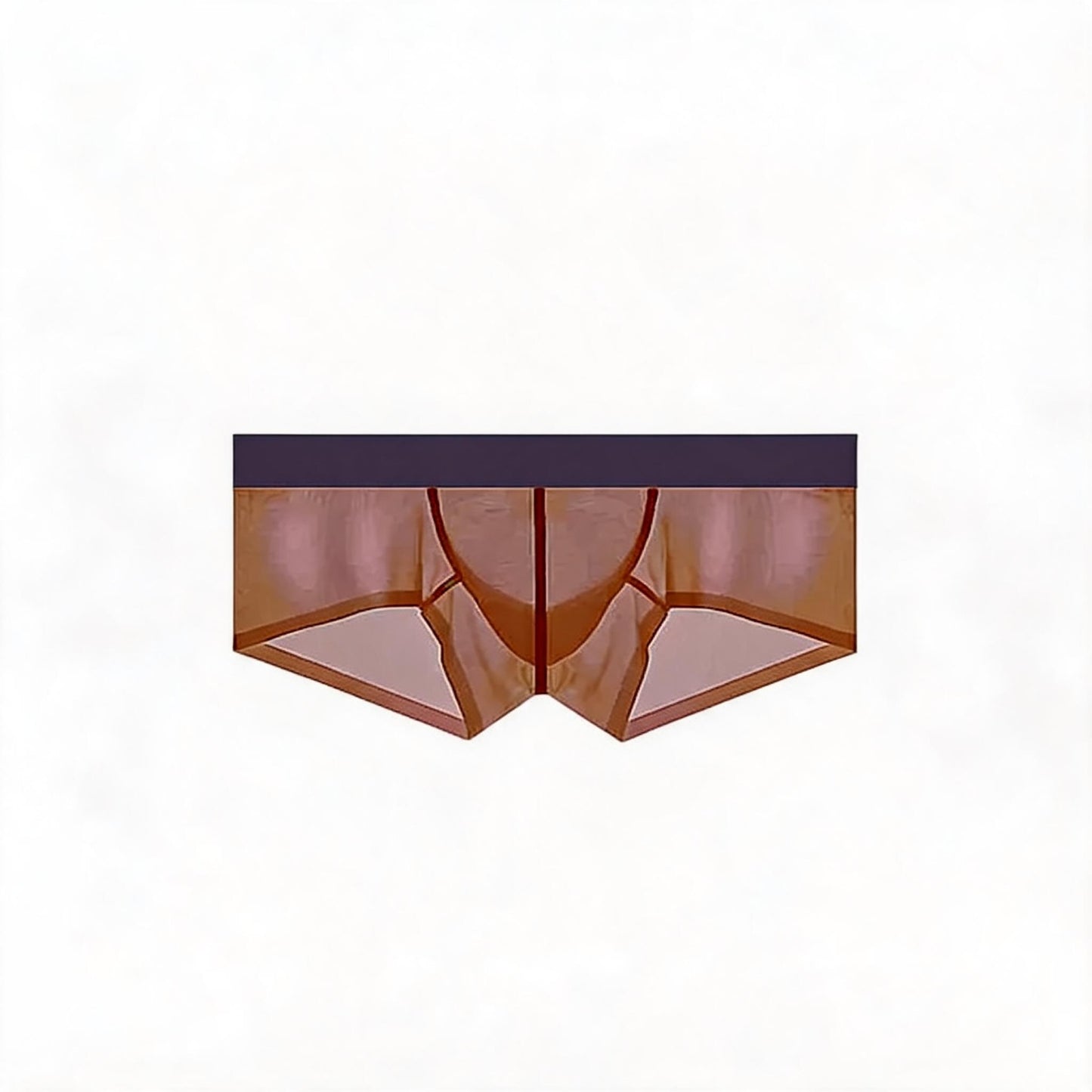 ZDSheer Ice Silk Briefs