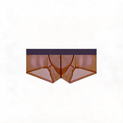 ZDSheer Ice Silk Briefs