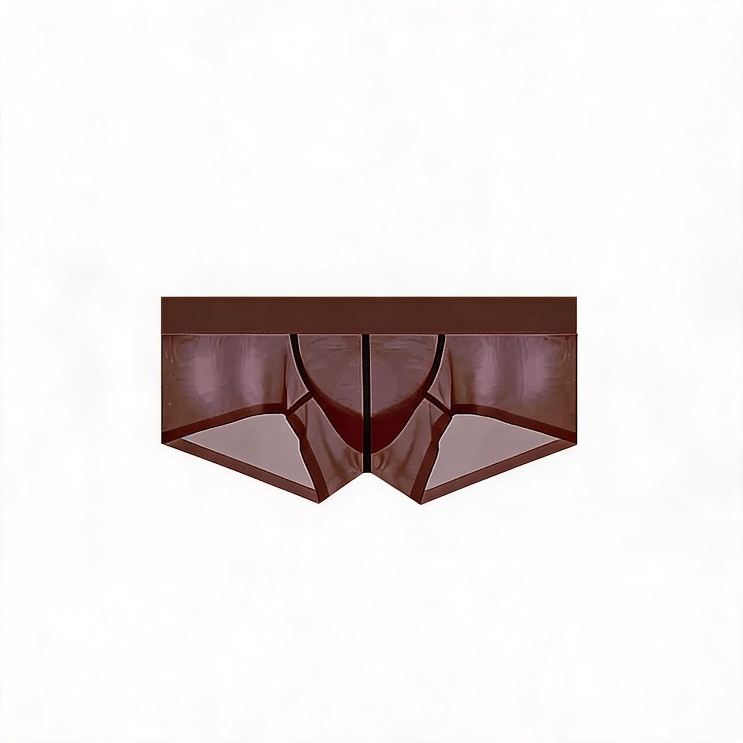 ZDSheer Ice Silk Briefs