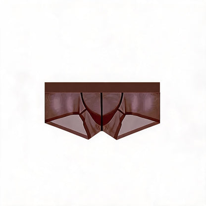 ZDSheer Ice Silk Briefs
