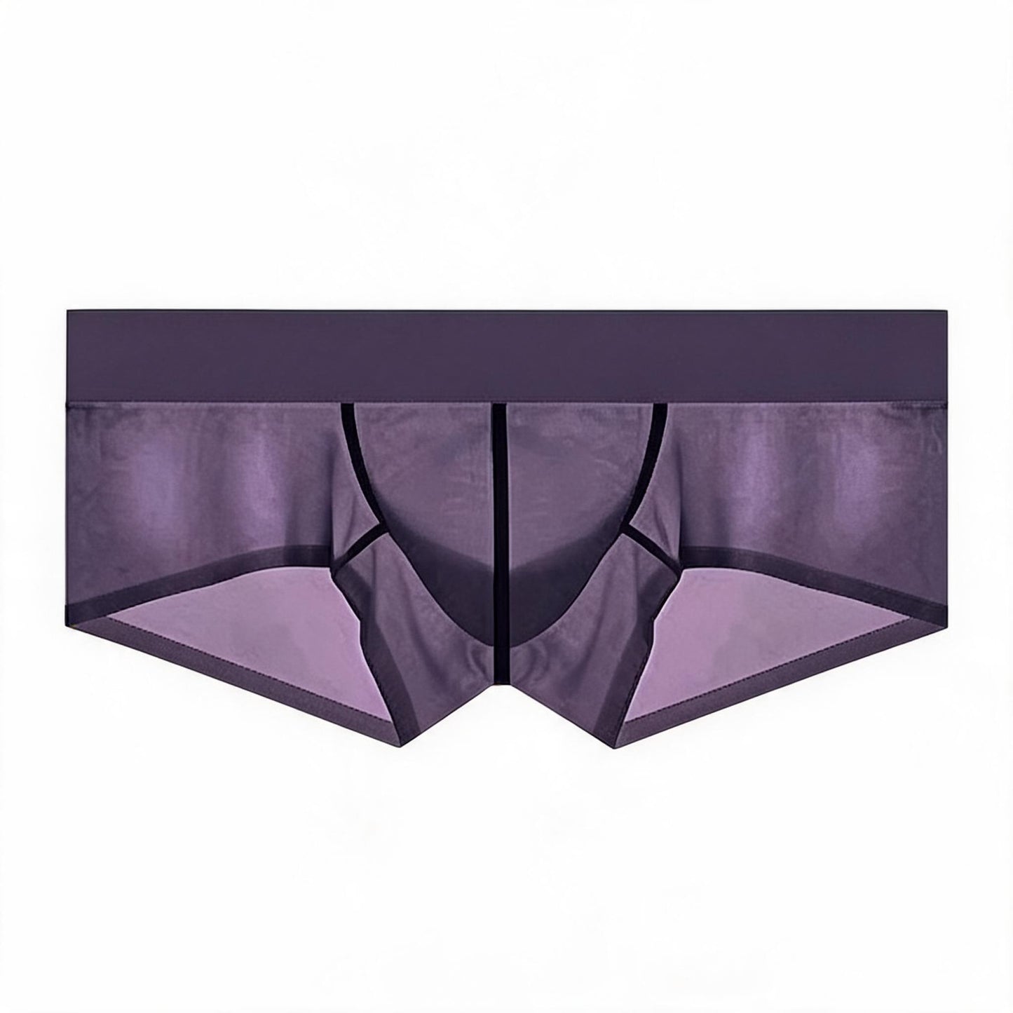 ZDSheer Ice Silk Briefs