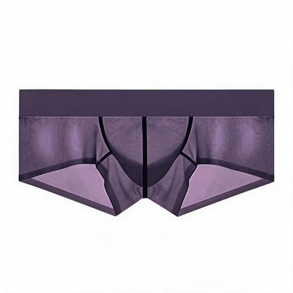 ZDSheer Ice Silk Briefs