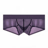 ZDSheer Ice Silk Briefs