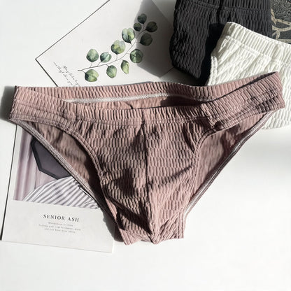 ZDSolid Micro-Mesh Sexy Low-Rise Briefs