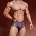 ZD【Highest Repurchase Rate】 Silk-Tech High-Performance Boxer Briefs