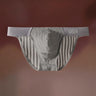 ZD【Anniversary Sale】 Vertical Lace Mesh Breathable Low Rise Men Briefs