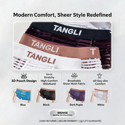 Horizontal & Vertical Stripe Sheer Mesh Embossed Letter Waist Boxer Briefs