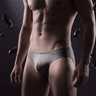 QS Striped Mesh Sexy Briefs