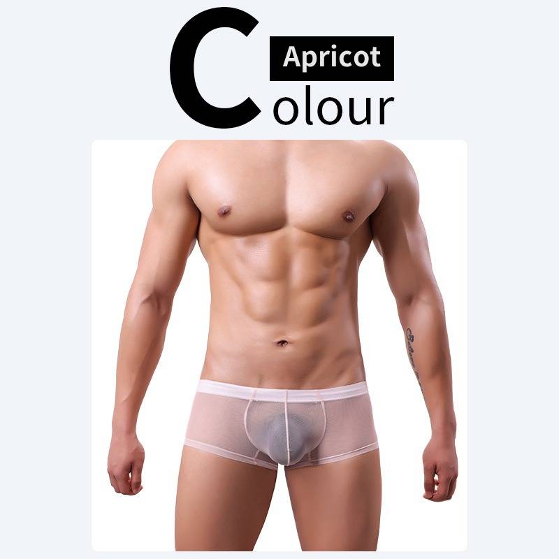 QS Sheer Ice Silk Sexy Boxer Briefs
