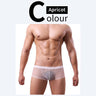 QS Sheer Ice Silk Sexy Boxer Briefs