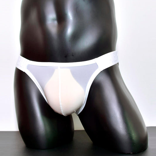Silky semi-transparent sexy briefs