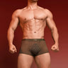 QS Sexy Lace Mesh Boxer Briefs